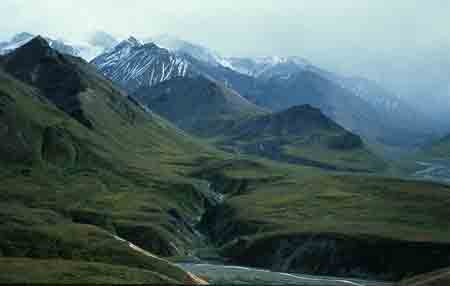 denali national park