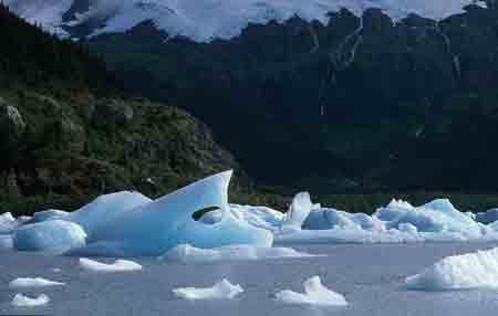 portage lake