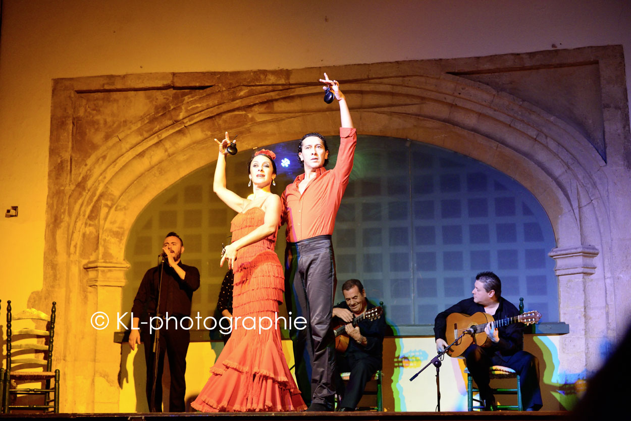 flamenco-tänzer, tablao "el cardenal", cordoba