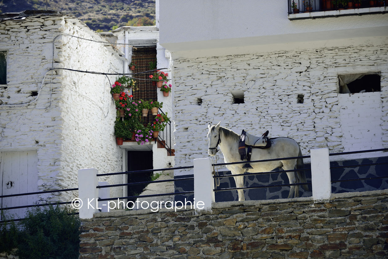 trevelez, la alpujarra