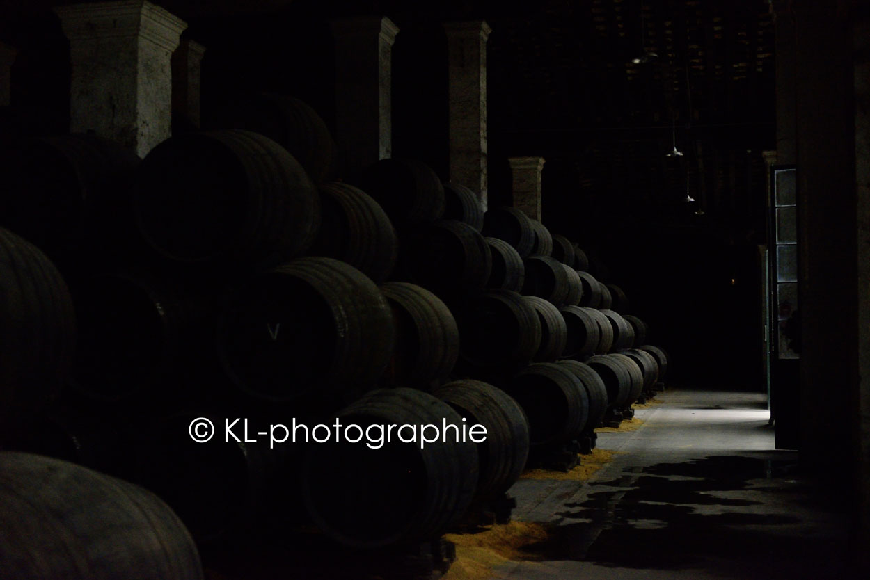 fasslager, tio pepe, bodega gonzales-byass, jerez