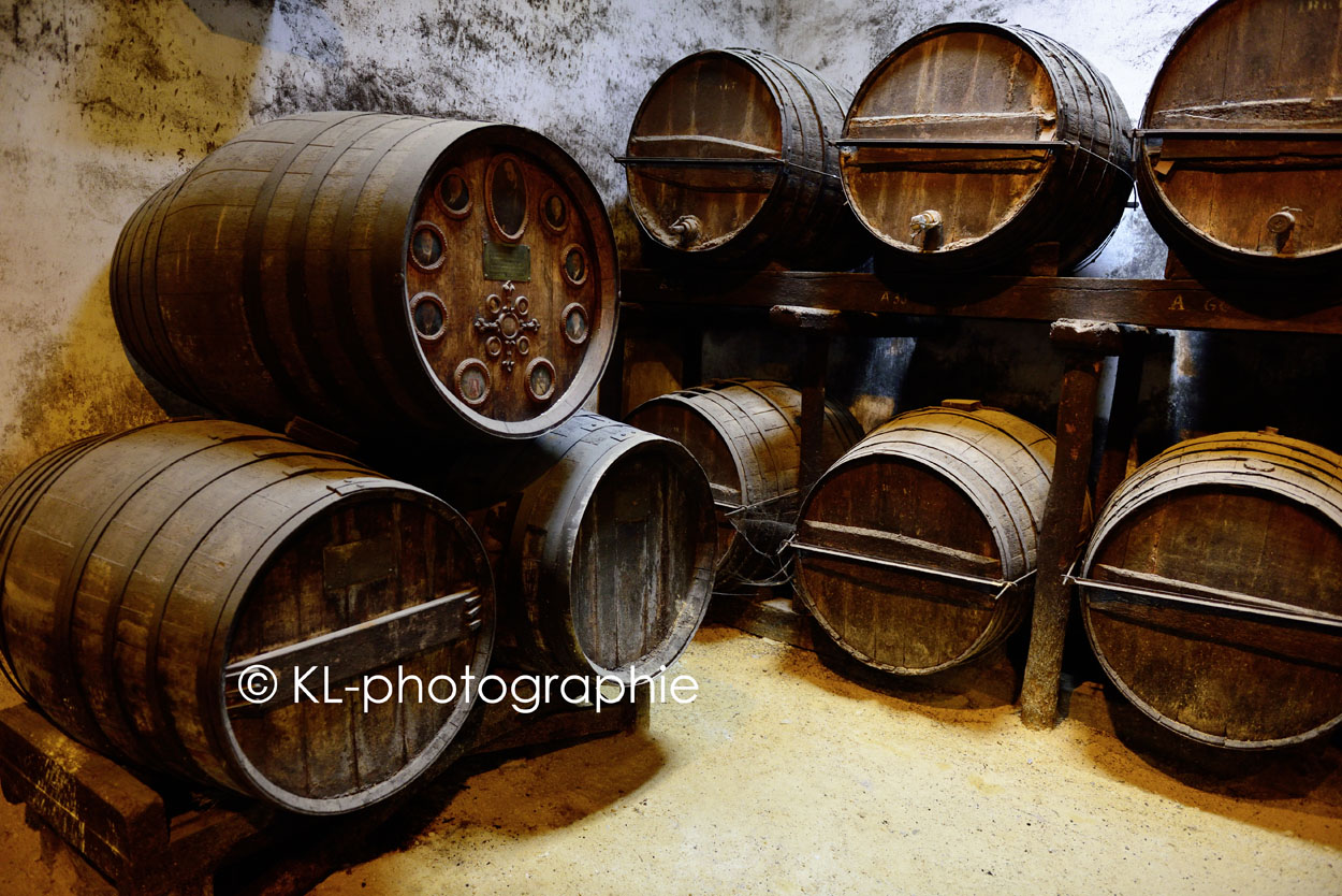 fasslager, tio pepe, bodega gonzales-byass, jerez