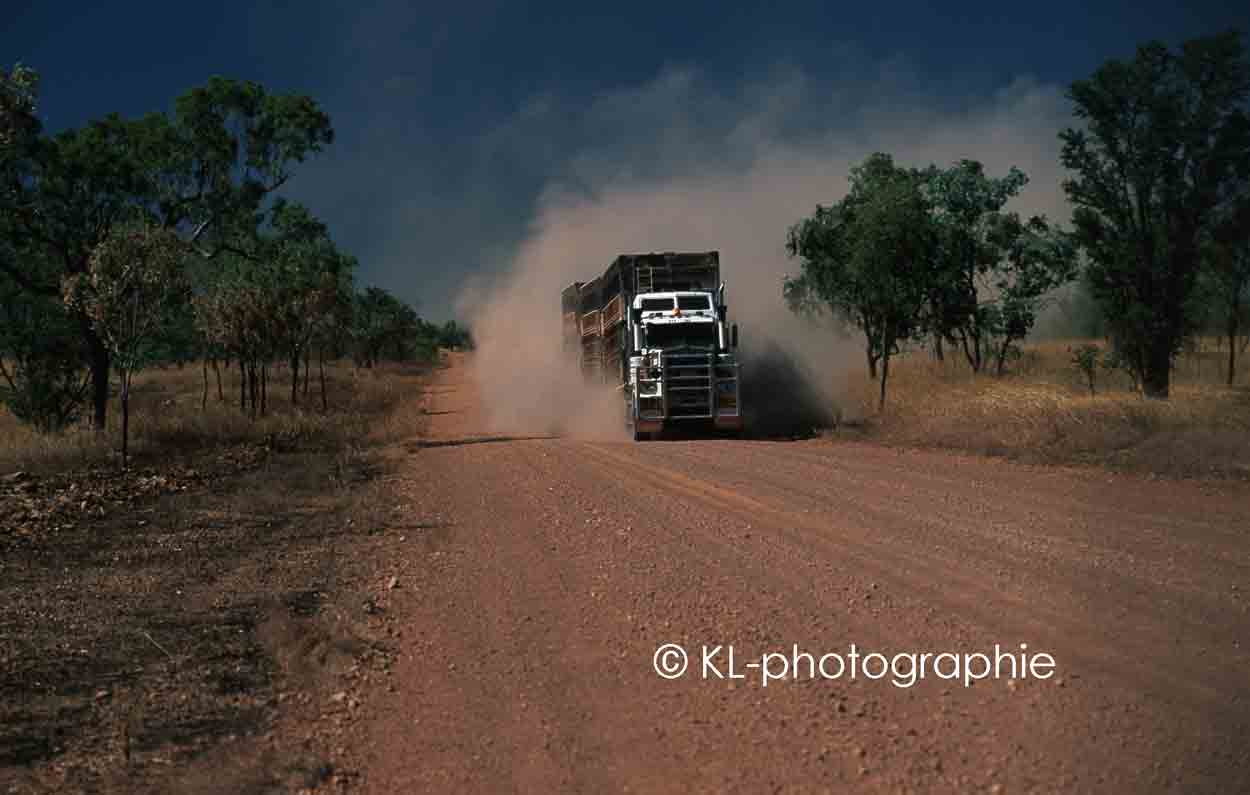buchanan highway