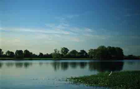 yellow waters