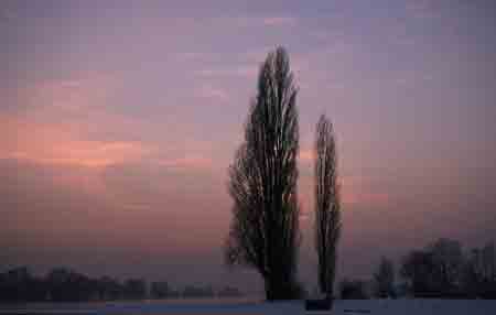 rhein bei hattenheim