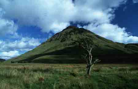 am doo lough