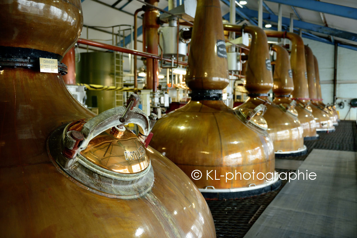still house, laphroaig distillery