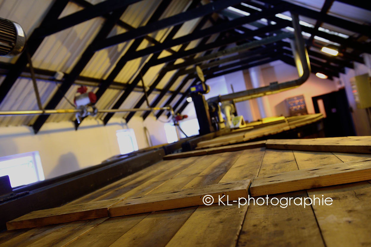 wash backs, bowmore distillery