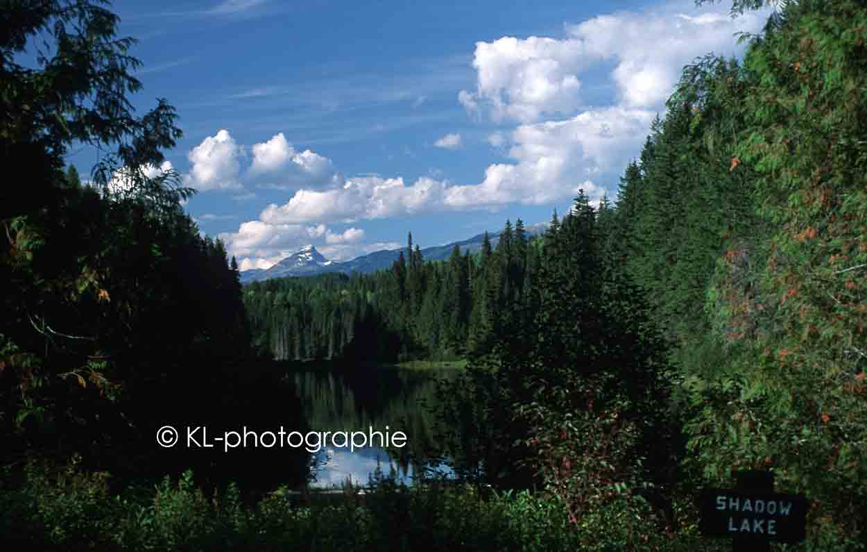 shadow lake