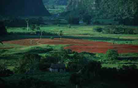 valle de vinales