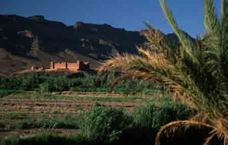 kasbah tamnougalt