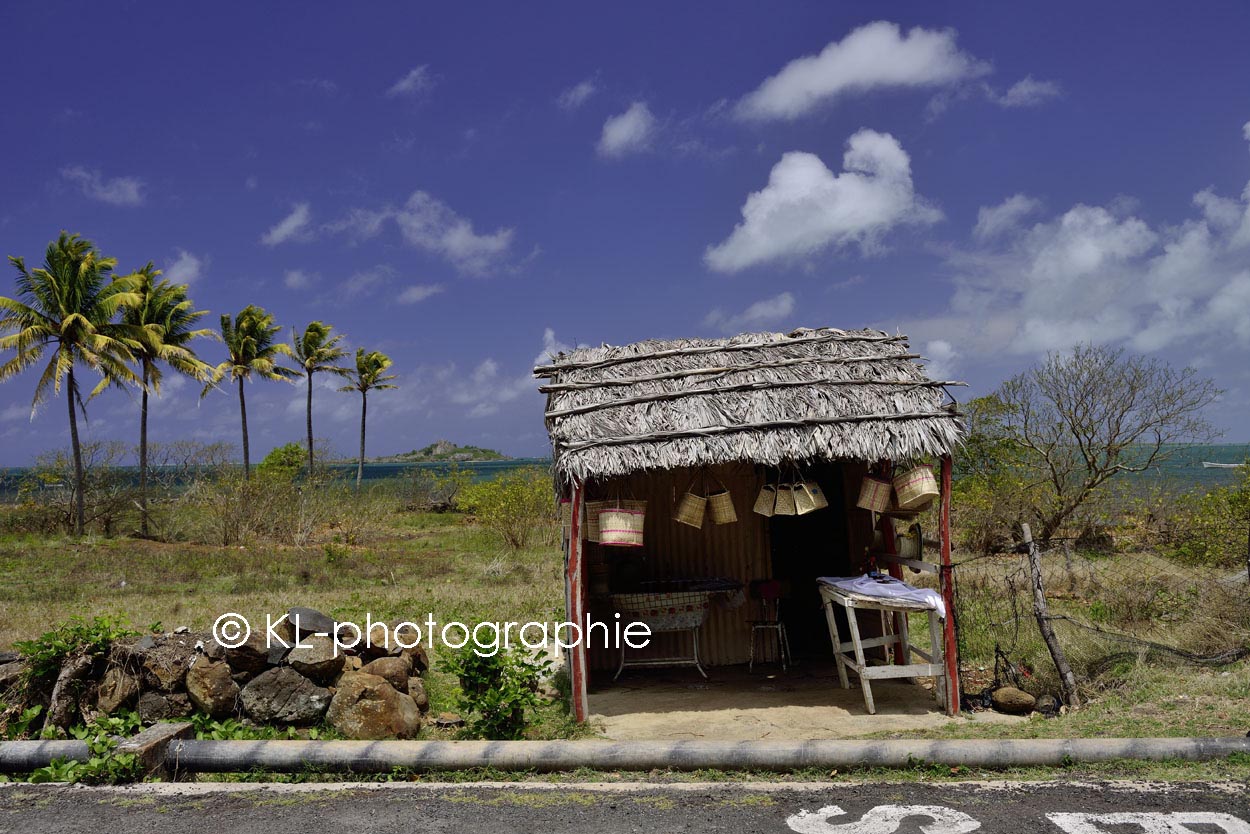 verkaufsstand, bei port du sud-est, rodrigues