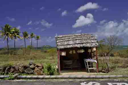 verkaufsstand, bei port du sud-est, rodrigues
