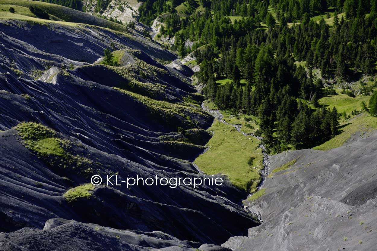 am col des champs