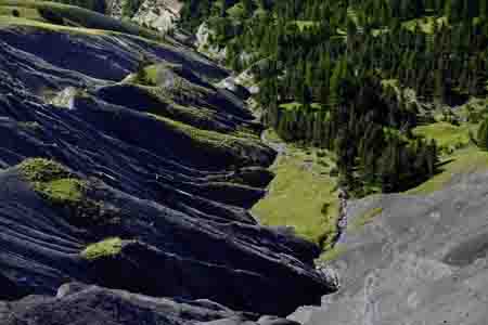 am col des champs