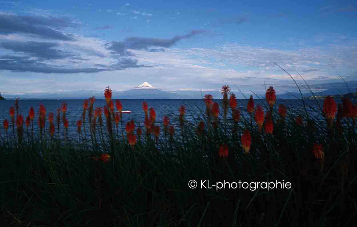lago llanquihue