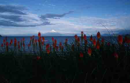 lago llanquihue
