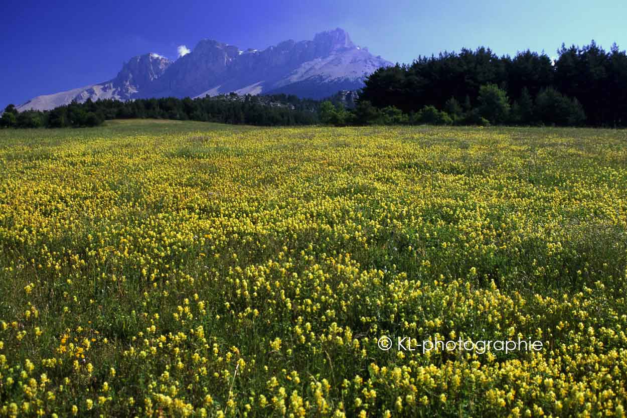 la montagne