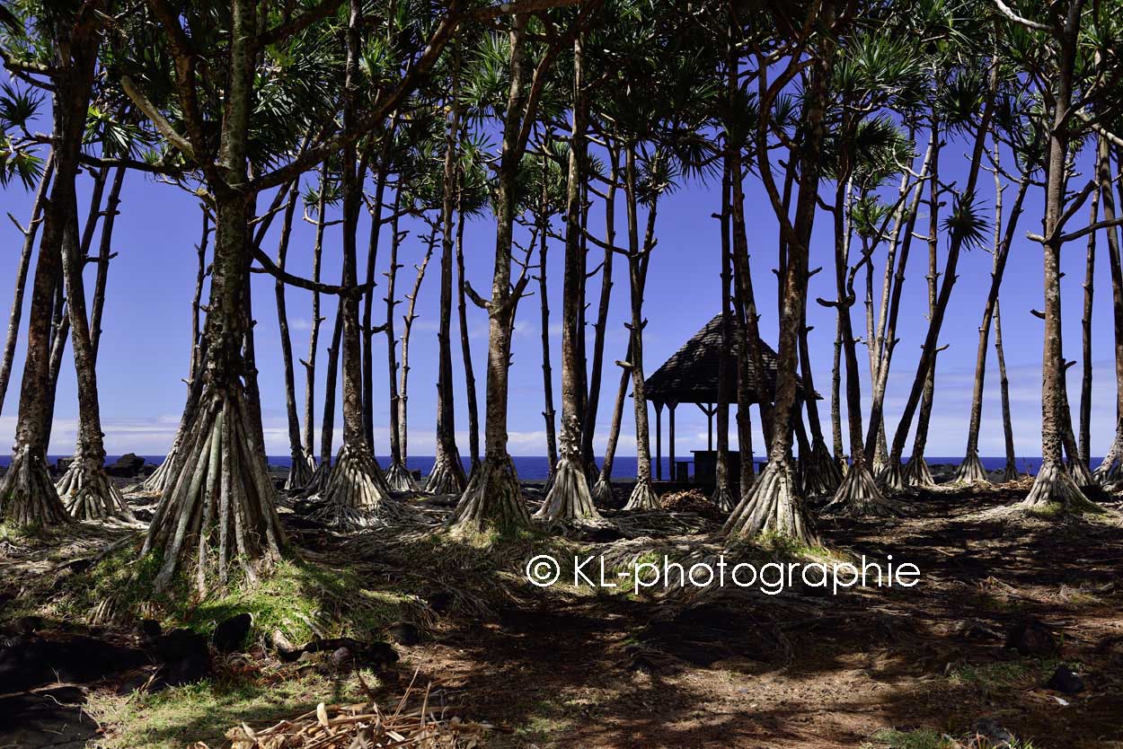 picknickplatz am point de la table