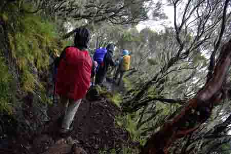 wanderung von la plaine des cafres zur gite de la caverne dufour am piton du neige, abstieg nach cilaos