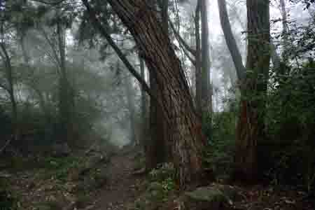 aufstieg zum col du taibit, cirque de cilaos