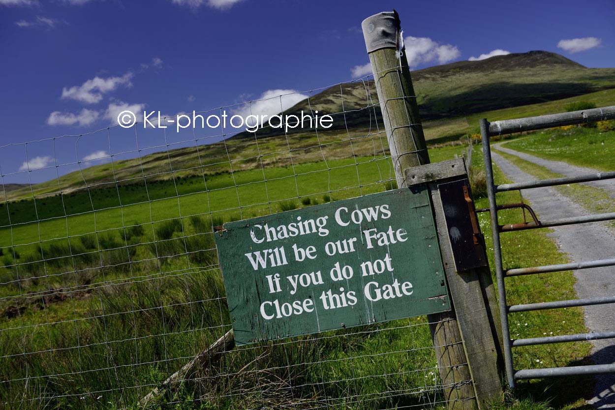 farm, ardtalla, islay