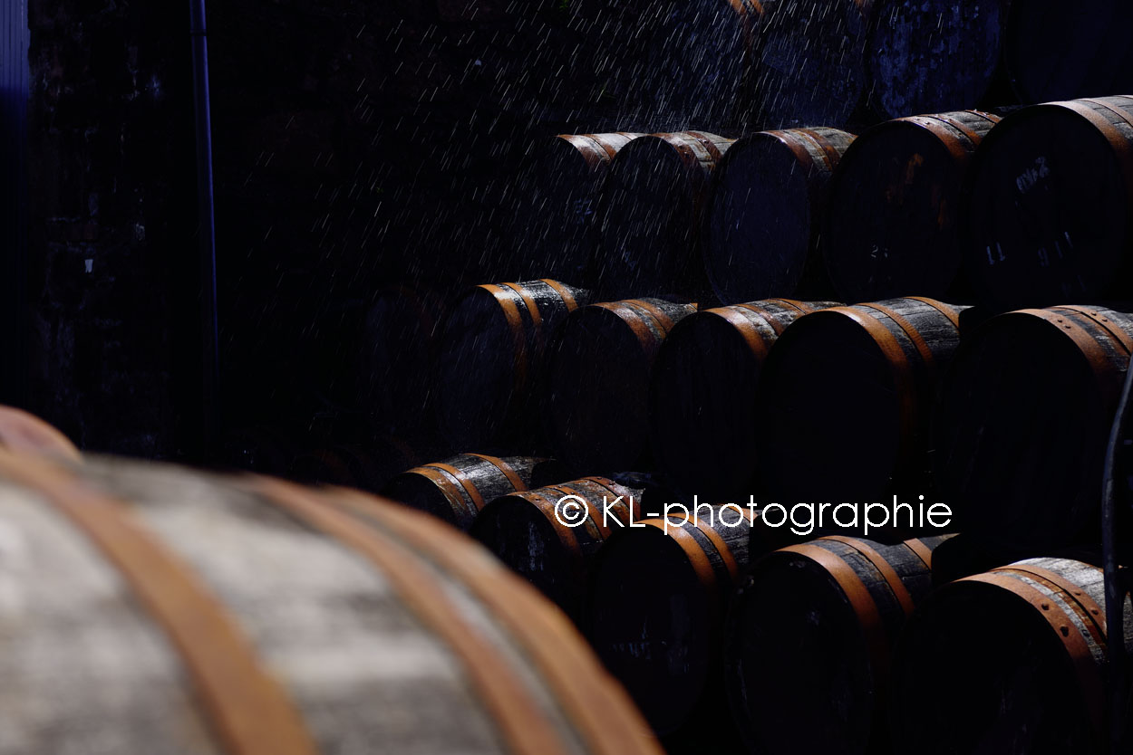 fasslager, springbank distillery, campbeltown