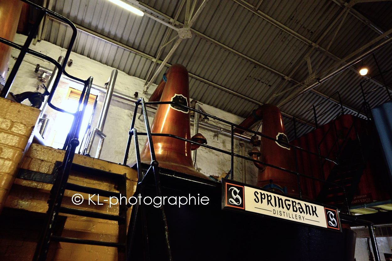 stillhouse, springbank distillery, campbeltown