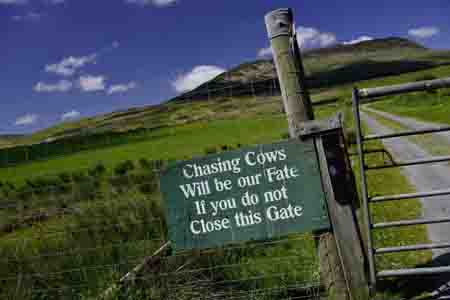 farm, ardtalla, islay
